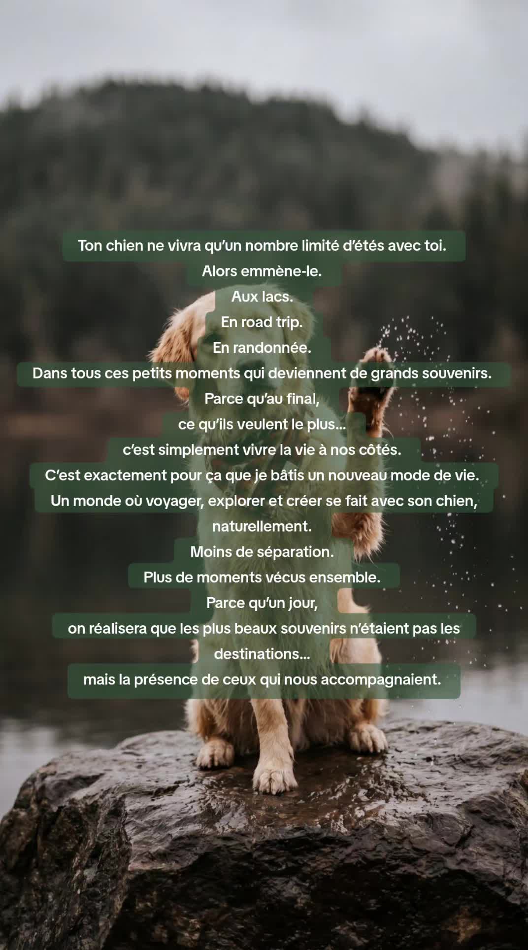 @Les Pattes Voyageuses