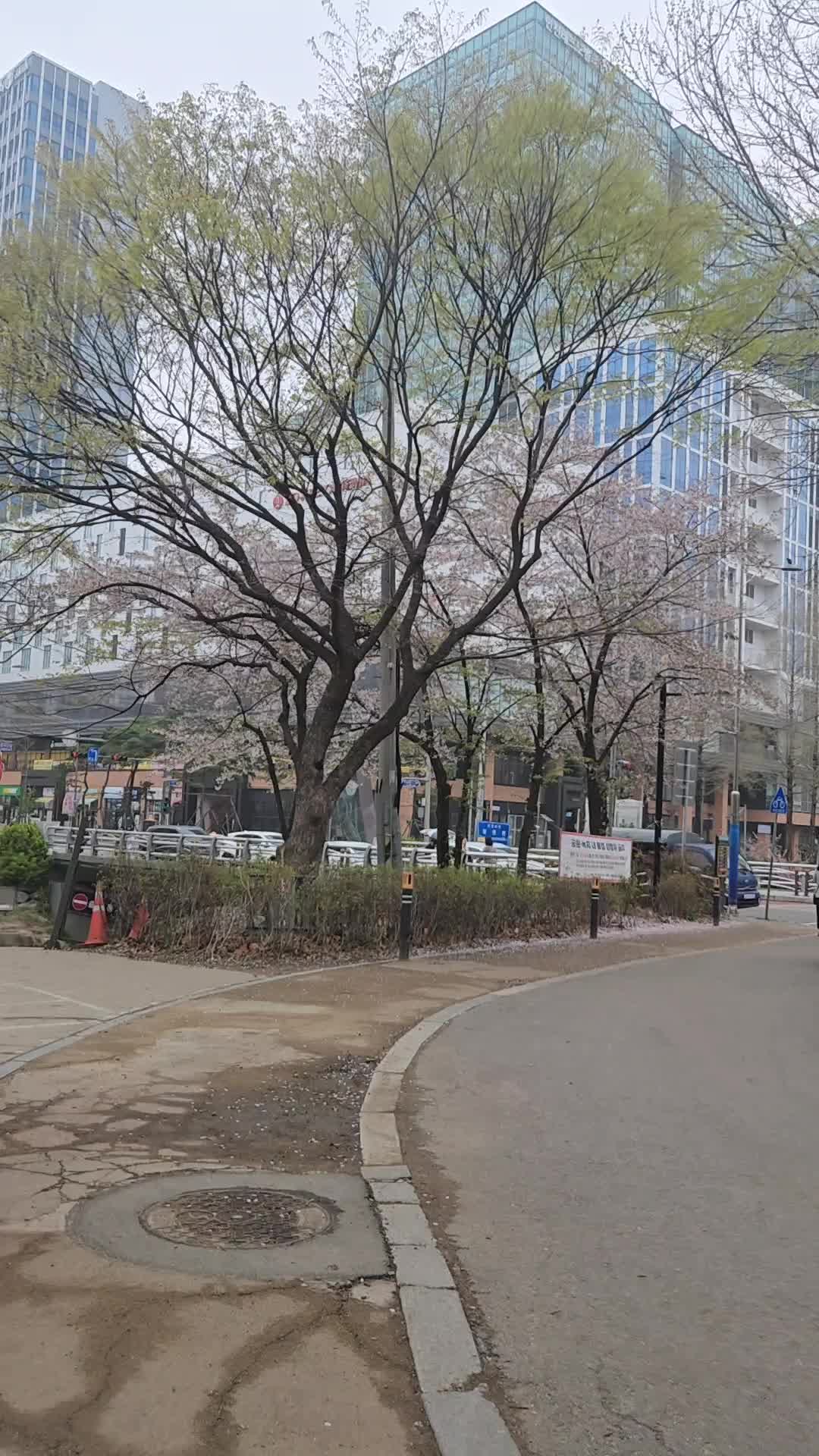 @귀현이