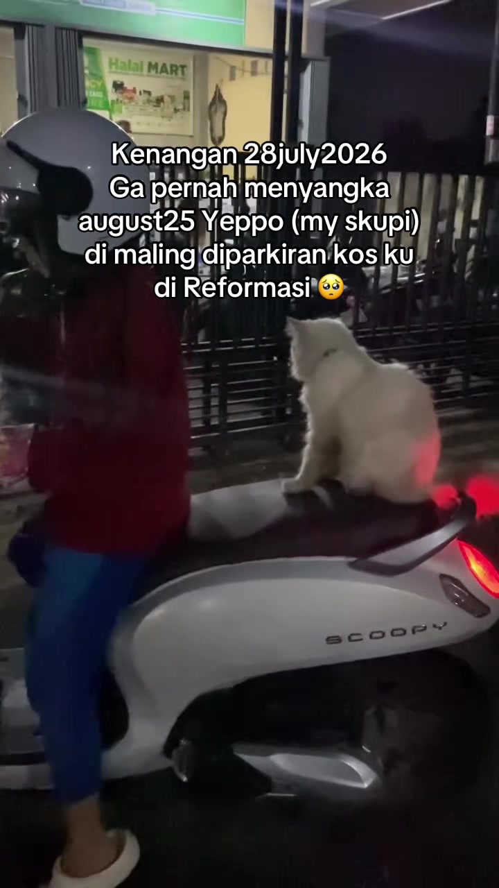@Ratupaus13_