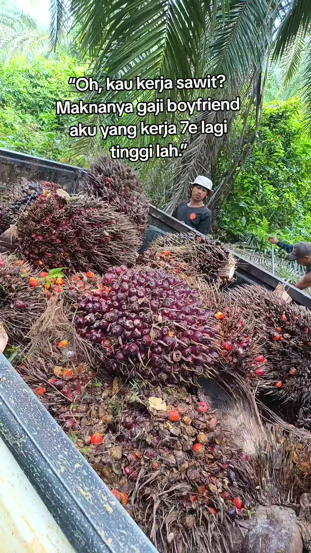@Pak Jerry Empire