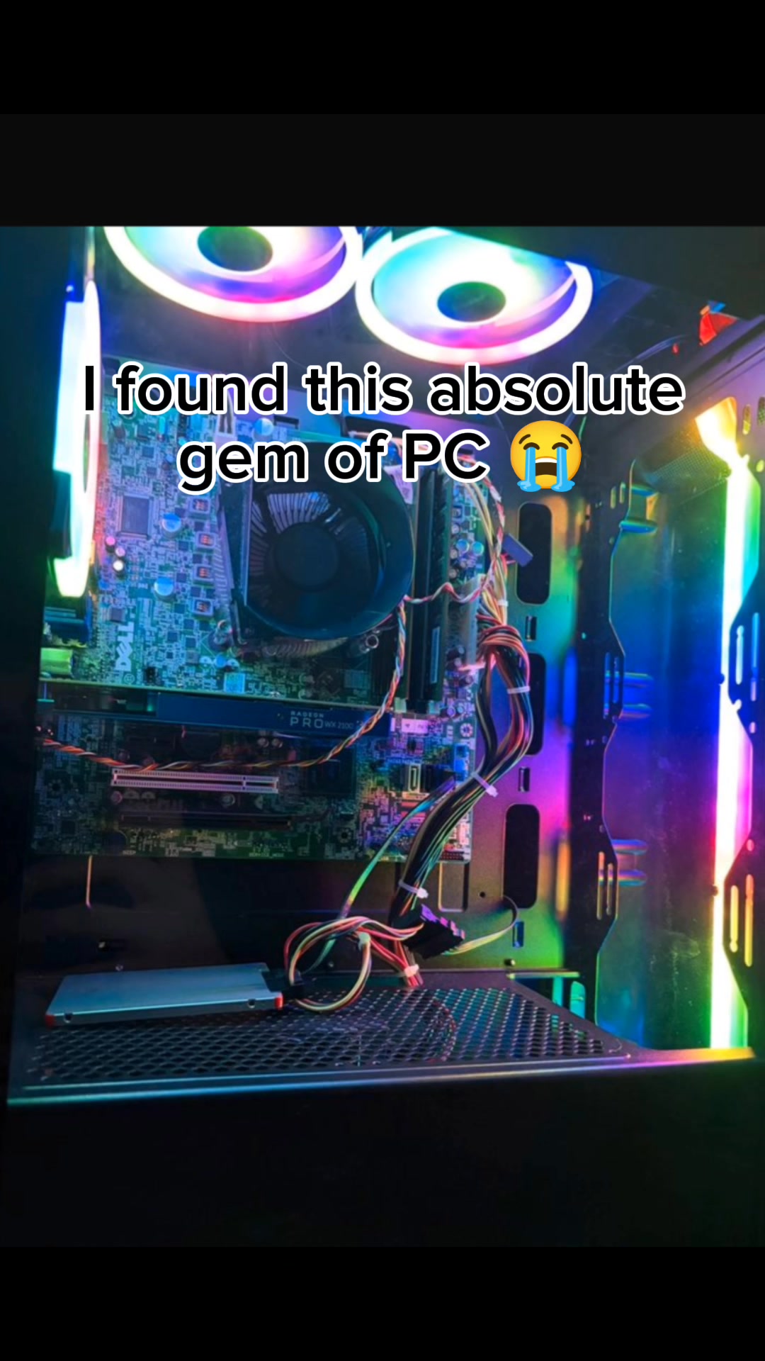 @icewingpcs❄️