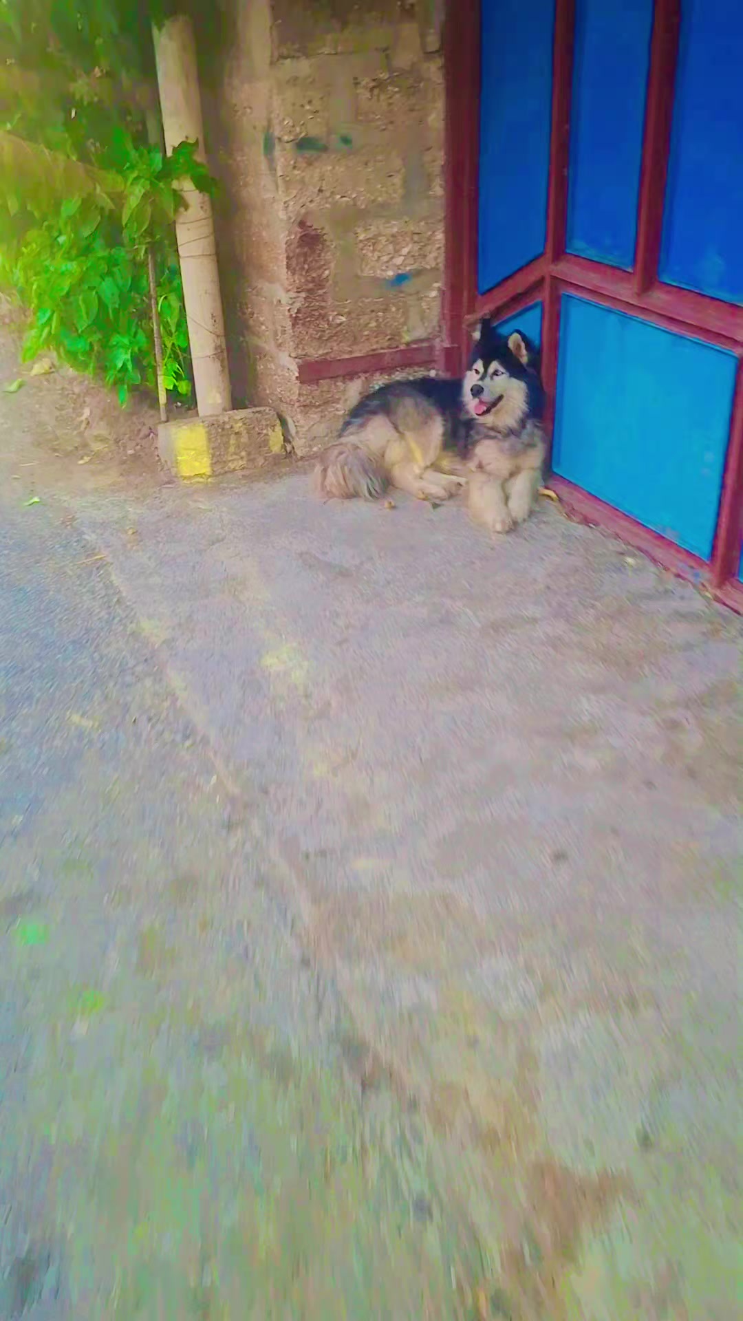 @✭🇦🇿🆀🅰🆁🆃🅰🅻 🇹🇷✭