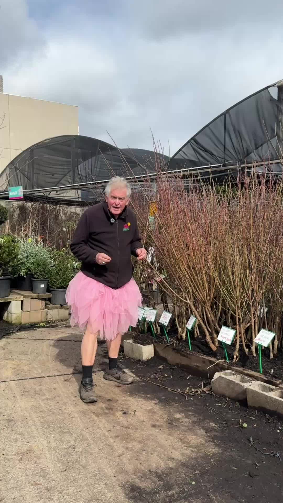 @Hello Hello Plants Nursery