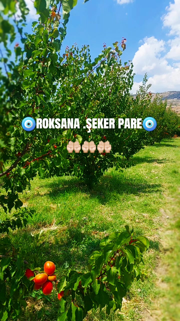 @🇹🇷🤘🏻selim_yıldız🤘🏻🇹🇷