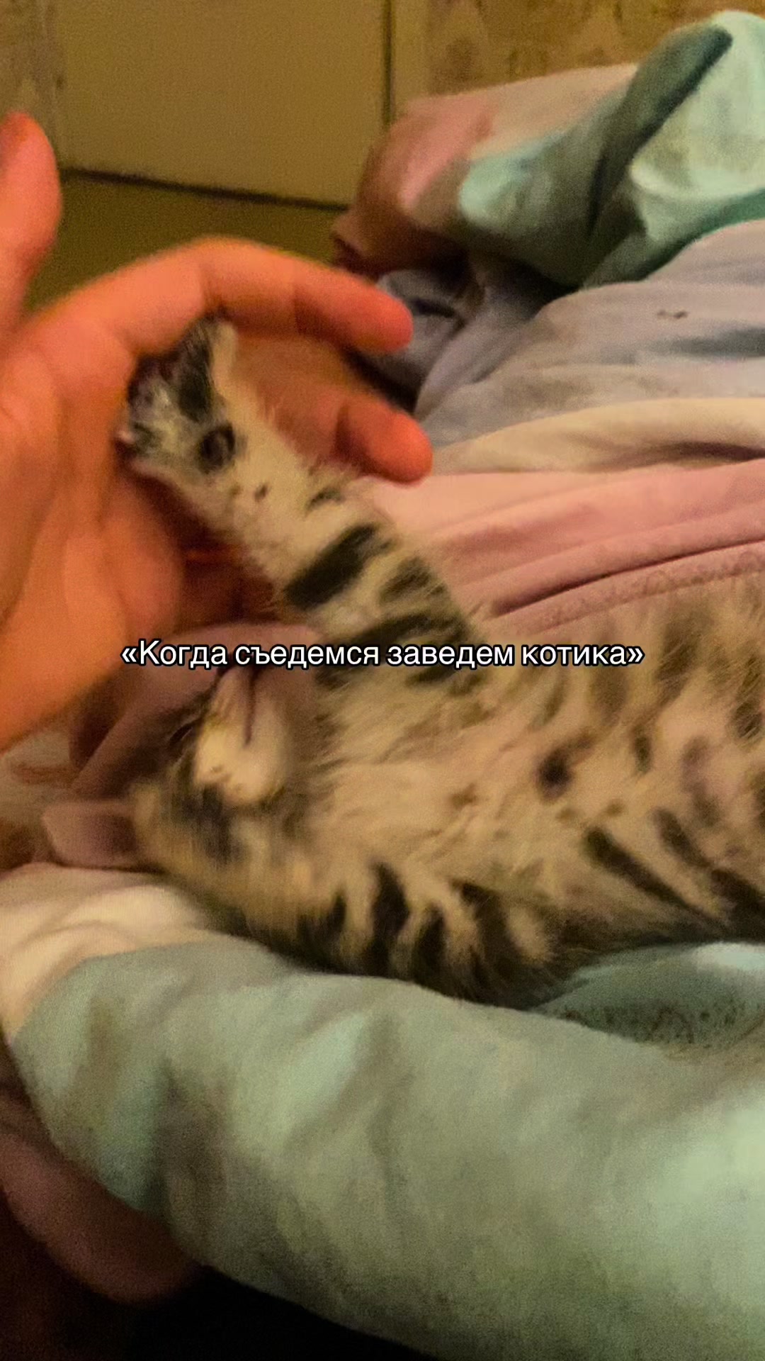 @АСЕКСА