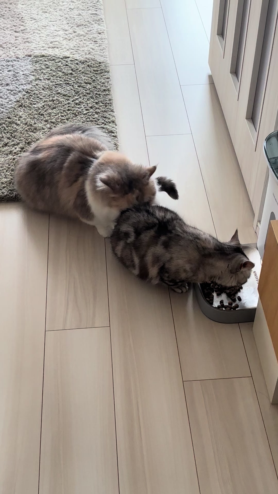 @ややとゆゆ