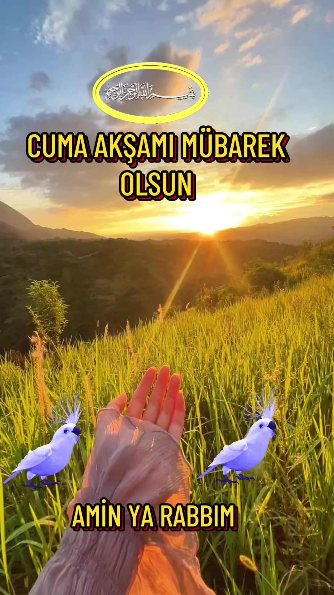 @NAKŞİ💚🕊💚AİLESİ🌹EMİNE🌹