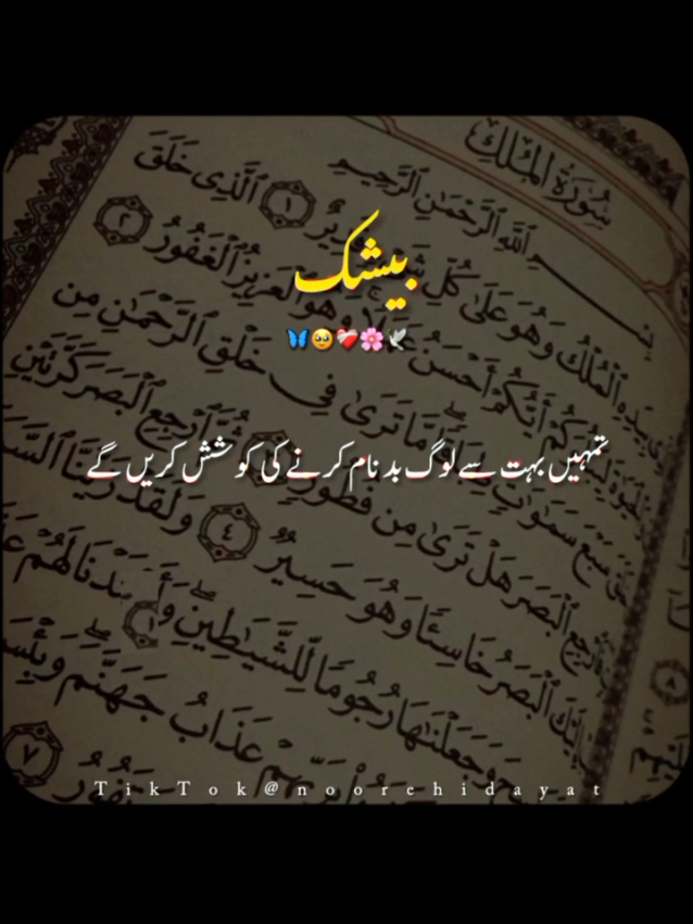 @Noor-e-Hidayat
