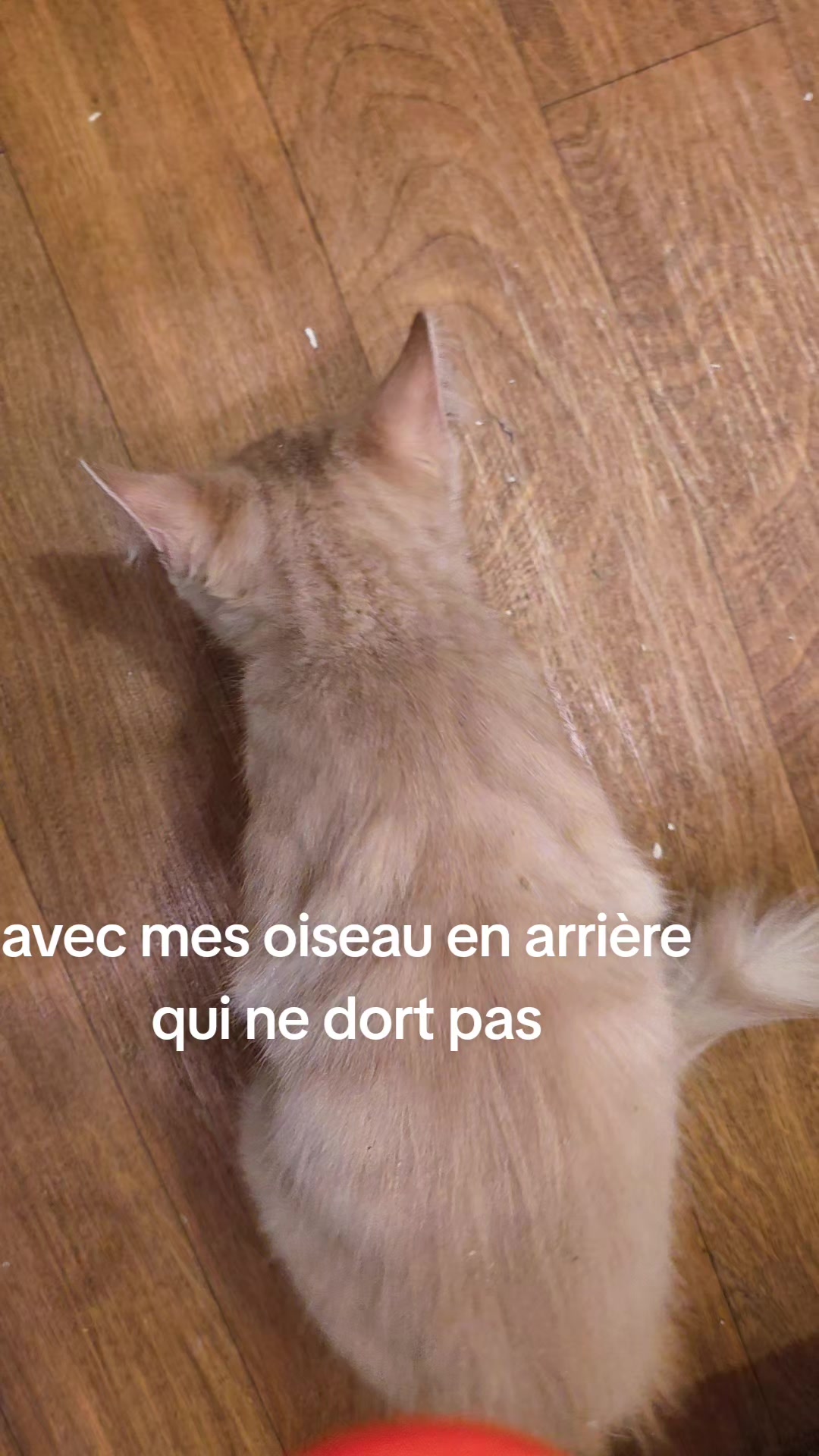 @Ariane