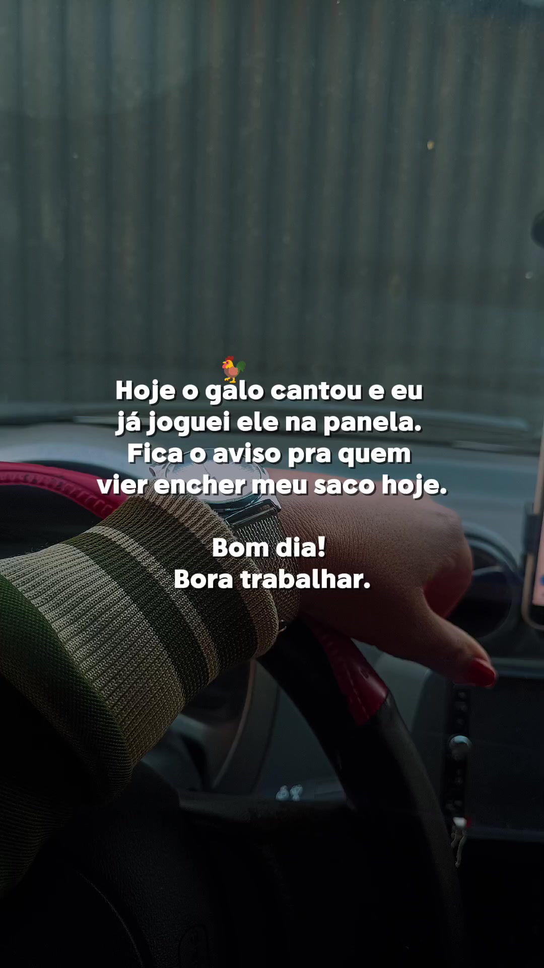 @aline vieira