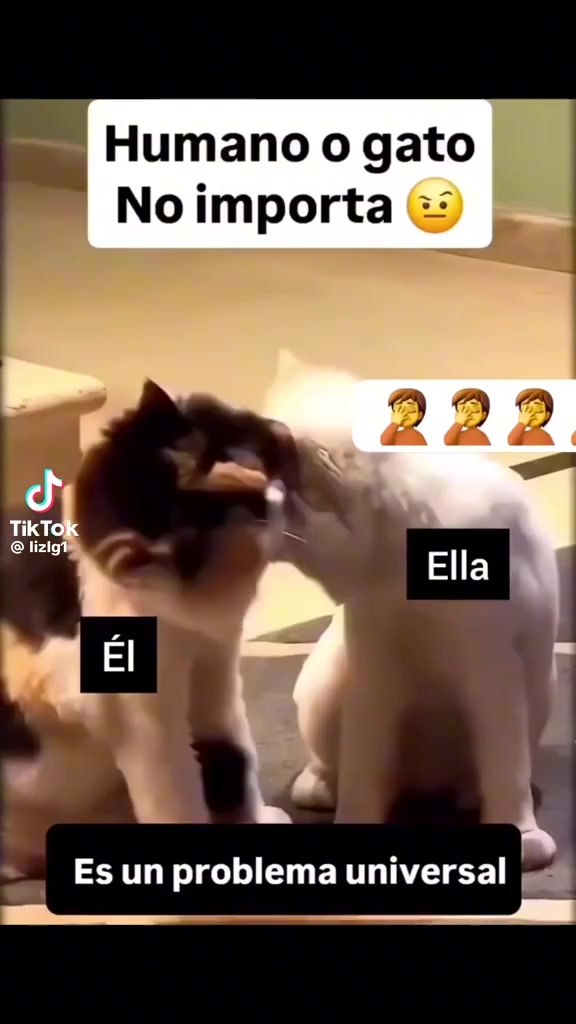 @irenitafranco