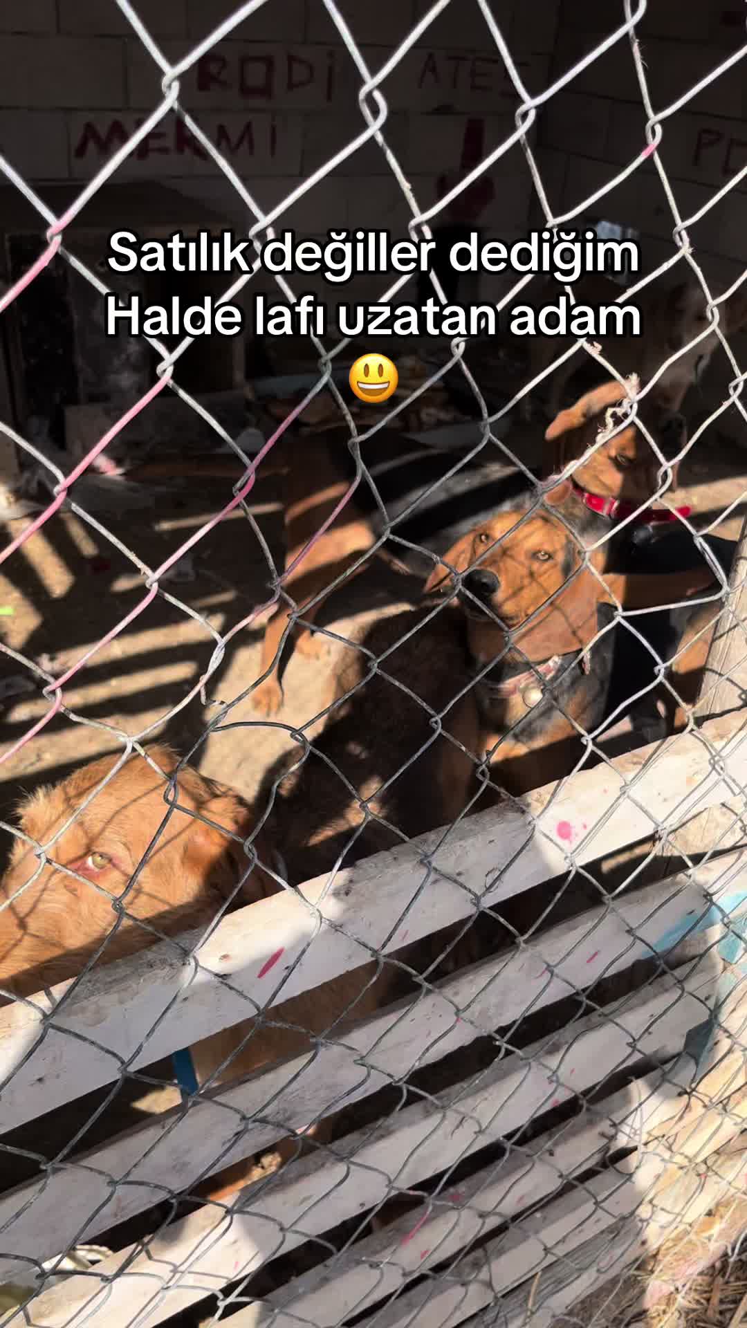 @Nuri