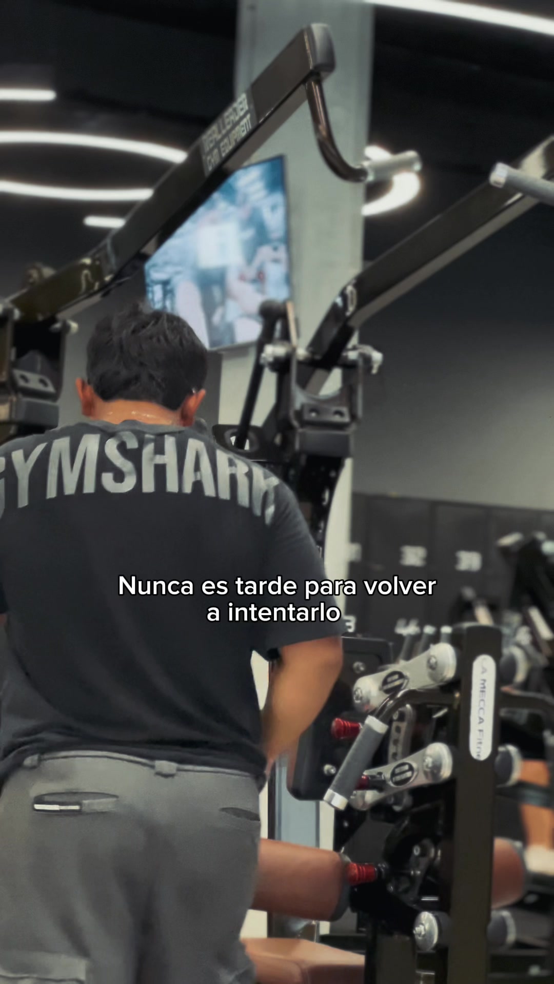 @Eduardo BV