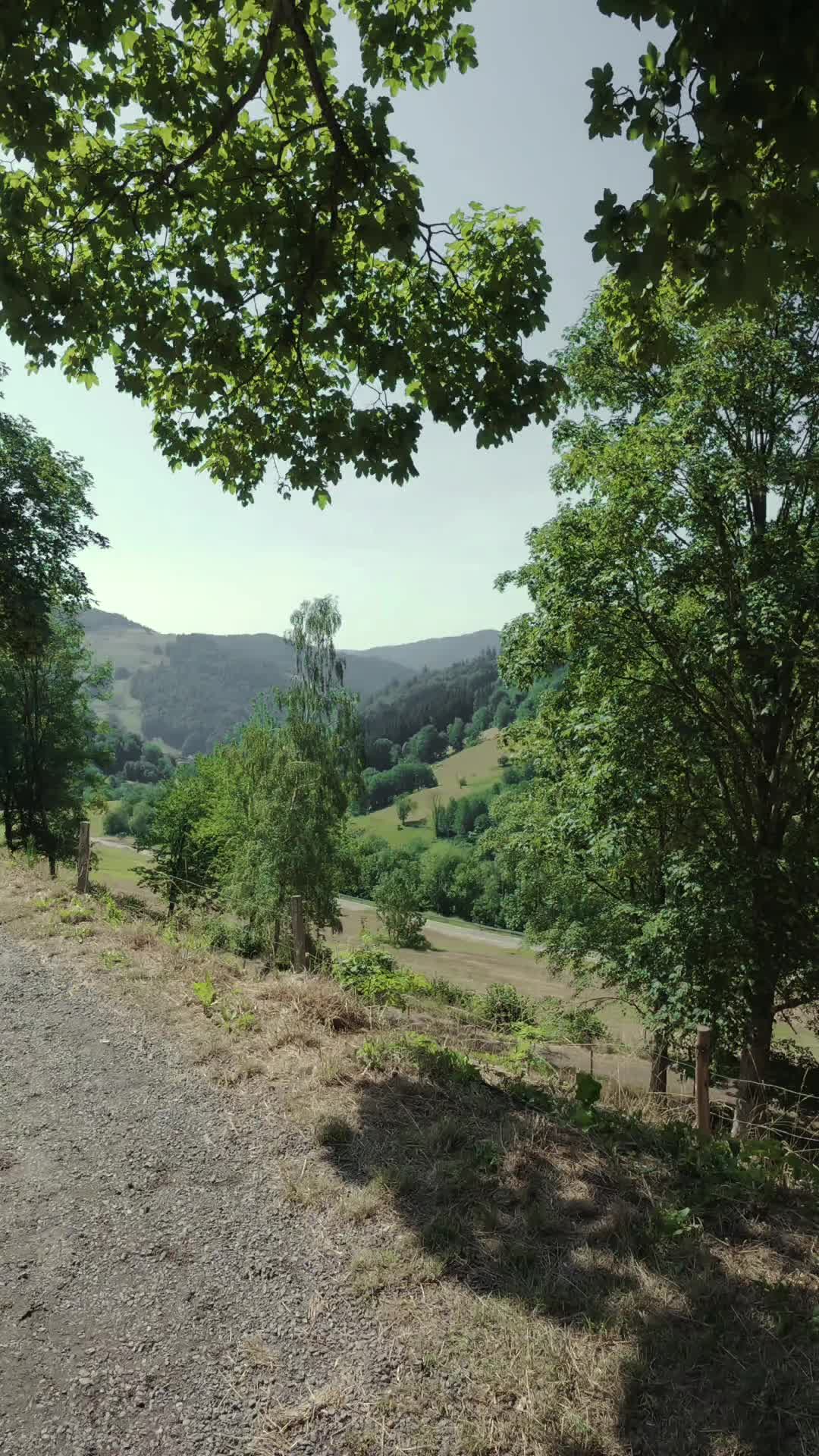 @dfghy