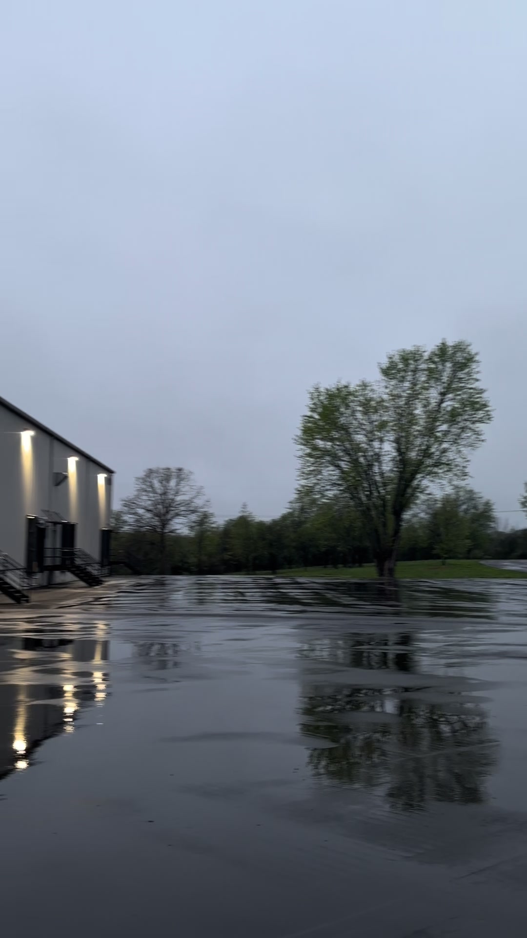 @eli
