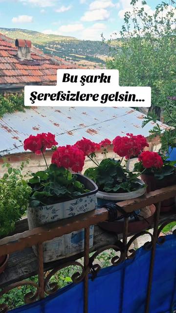 @deniz_yildizi43⭐️⭐️⭐️