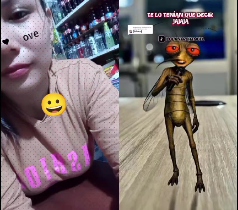 @🌺❤️🐝K..T🦋