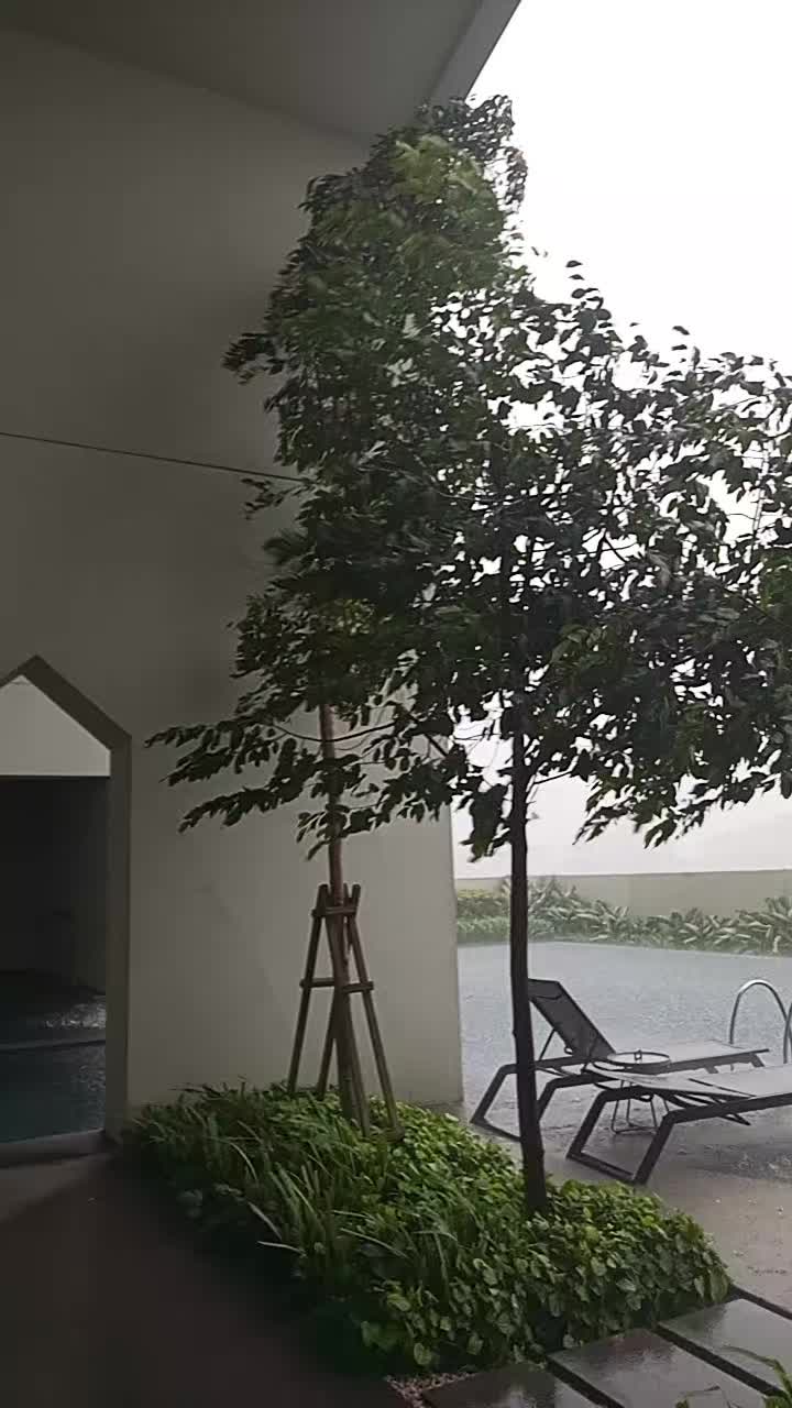 @Khalil Zada