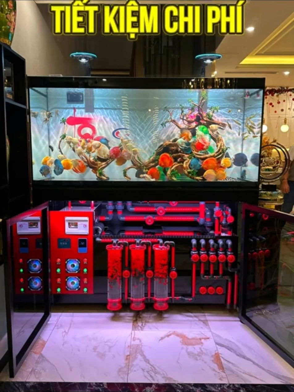 @Discus House Aquarium