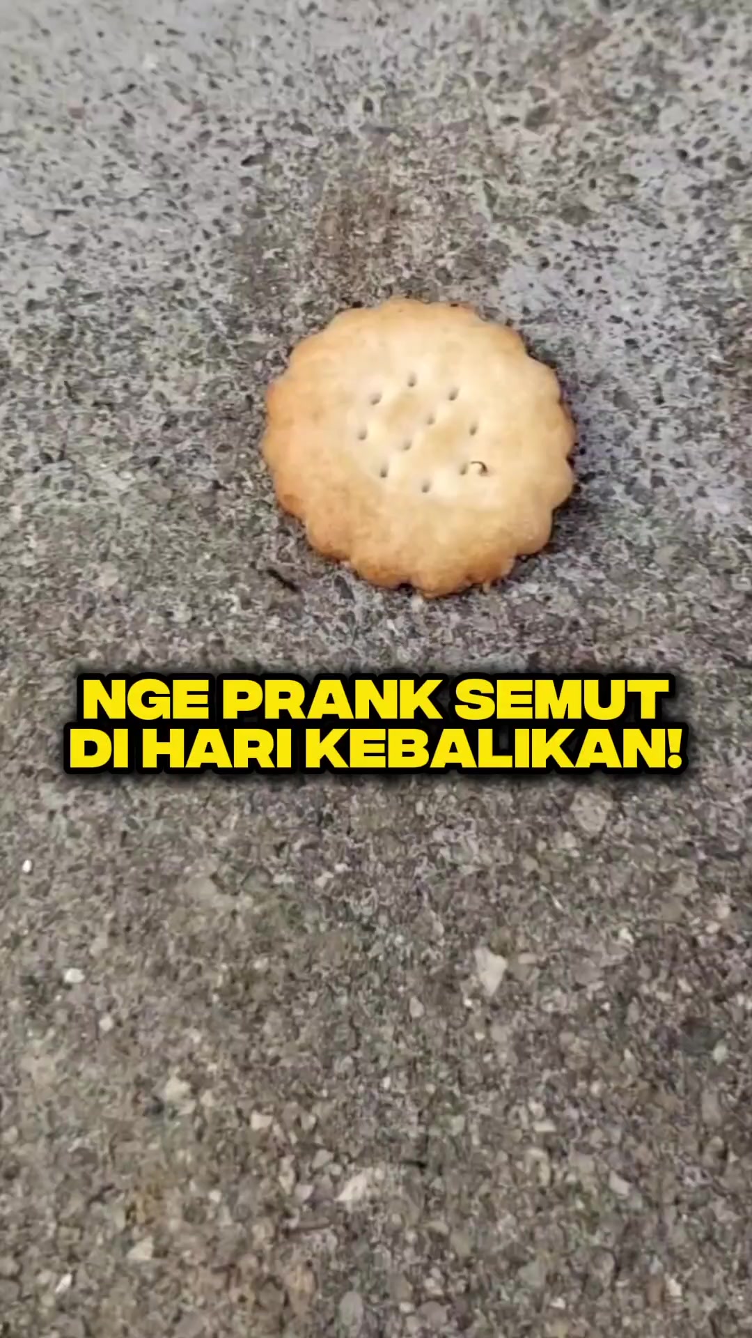 @Ardian Galih 🐜