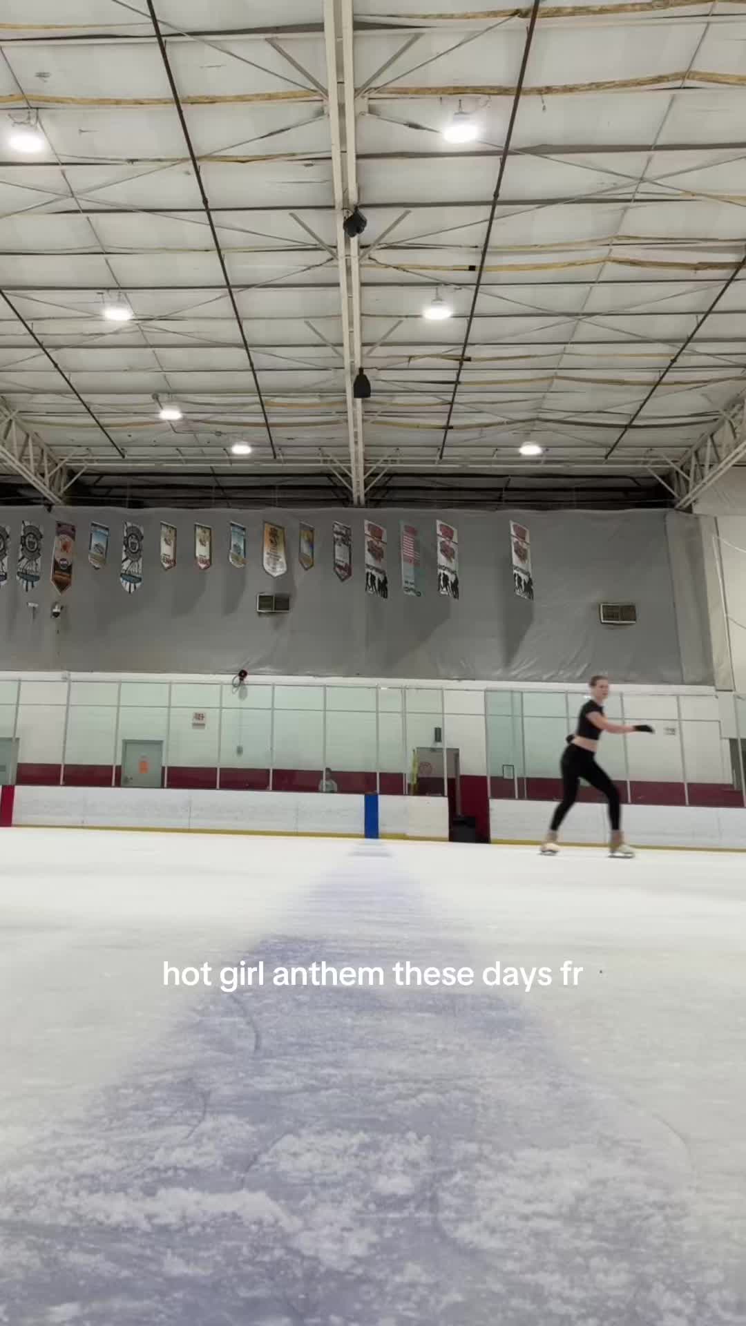 @arctic anna