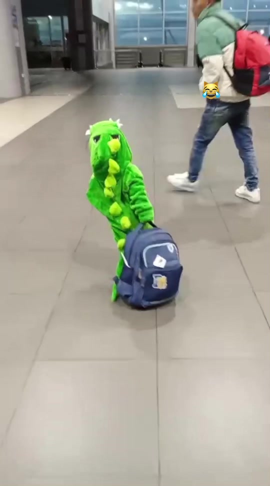 @🐺Marlon Sebastián🦖