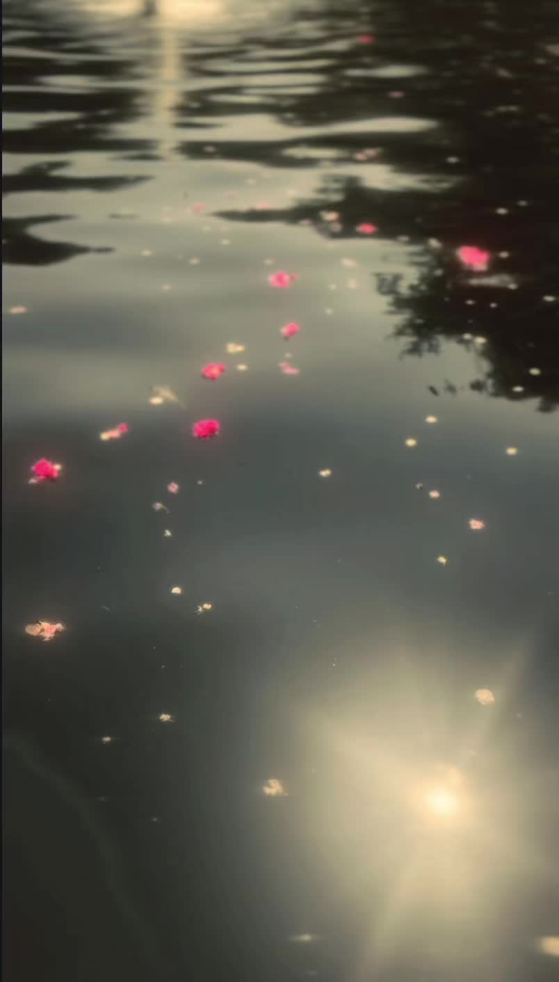 @☽ 𝔏𝔦𝔞𝔫𝔞 ☾