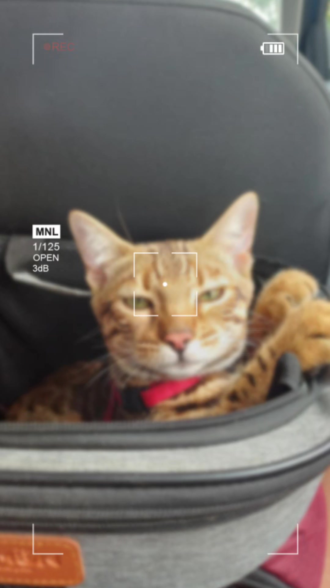 @Rio.supercat