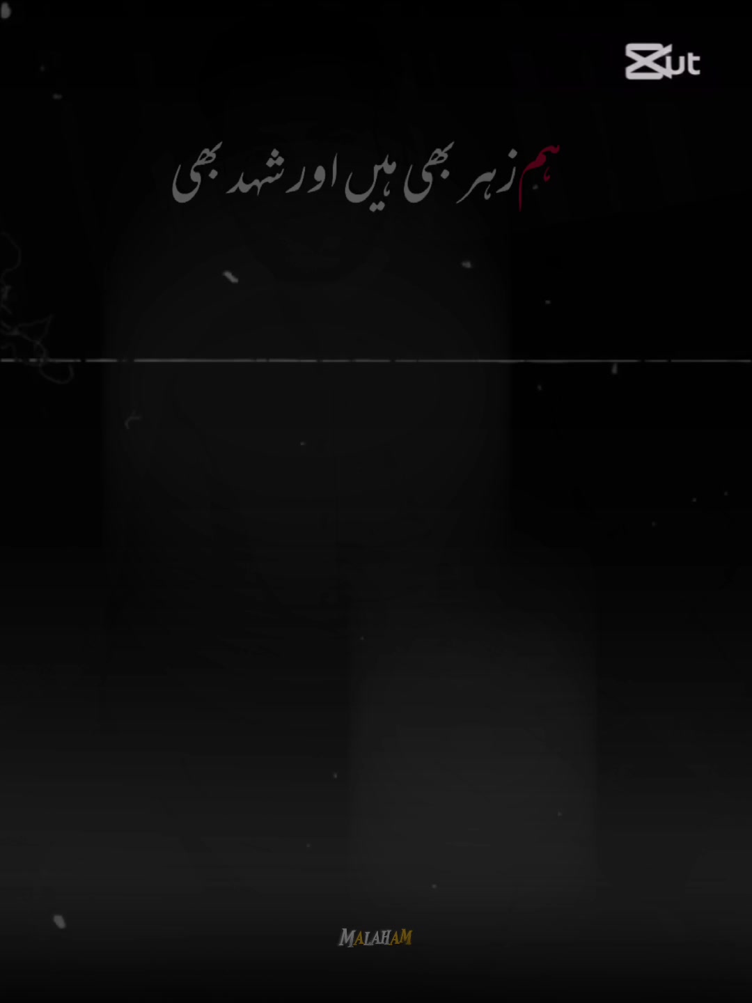 @Malik Hassan🇶🇦🇵🇰