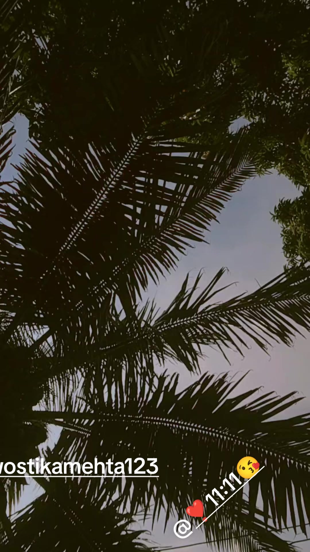 @chanda kumarii mehta