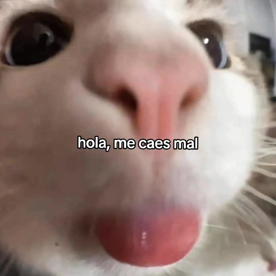 @goodvibessxd
