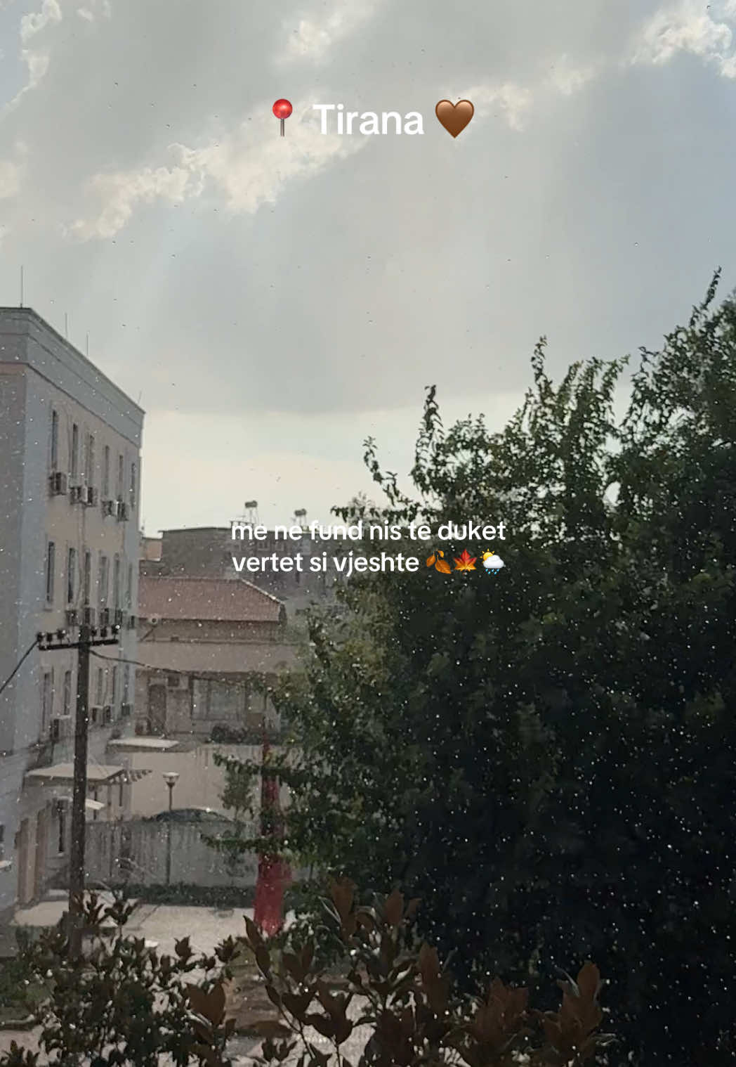 @Flavokado 🥑