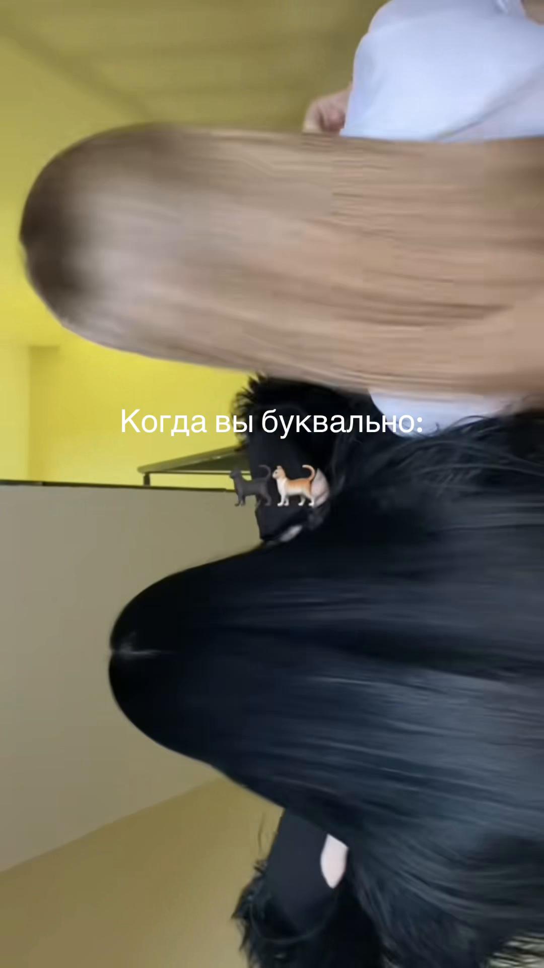 @Роза Валиева