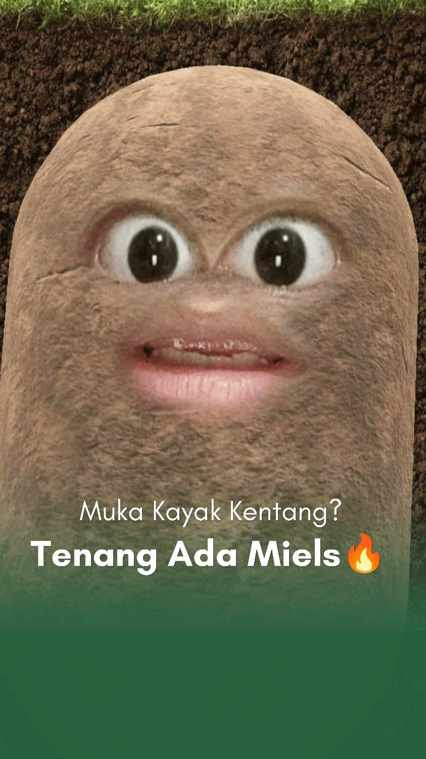 @MIELS