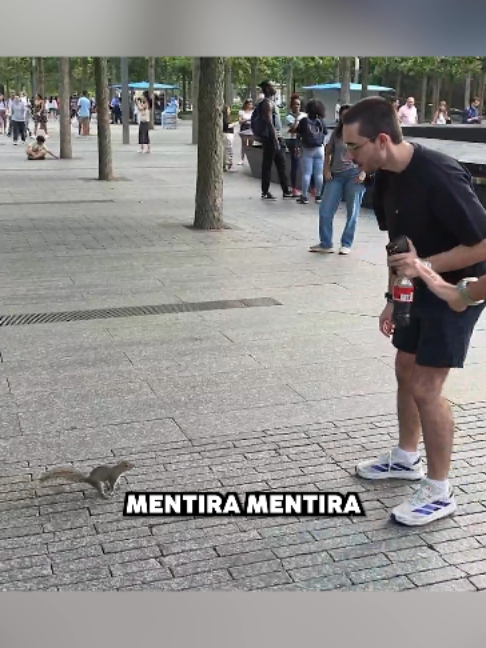 @Los Futbolitos