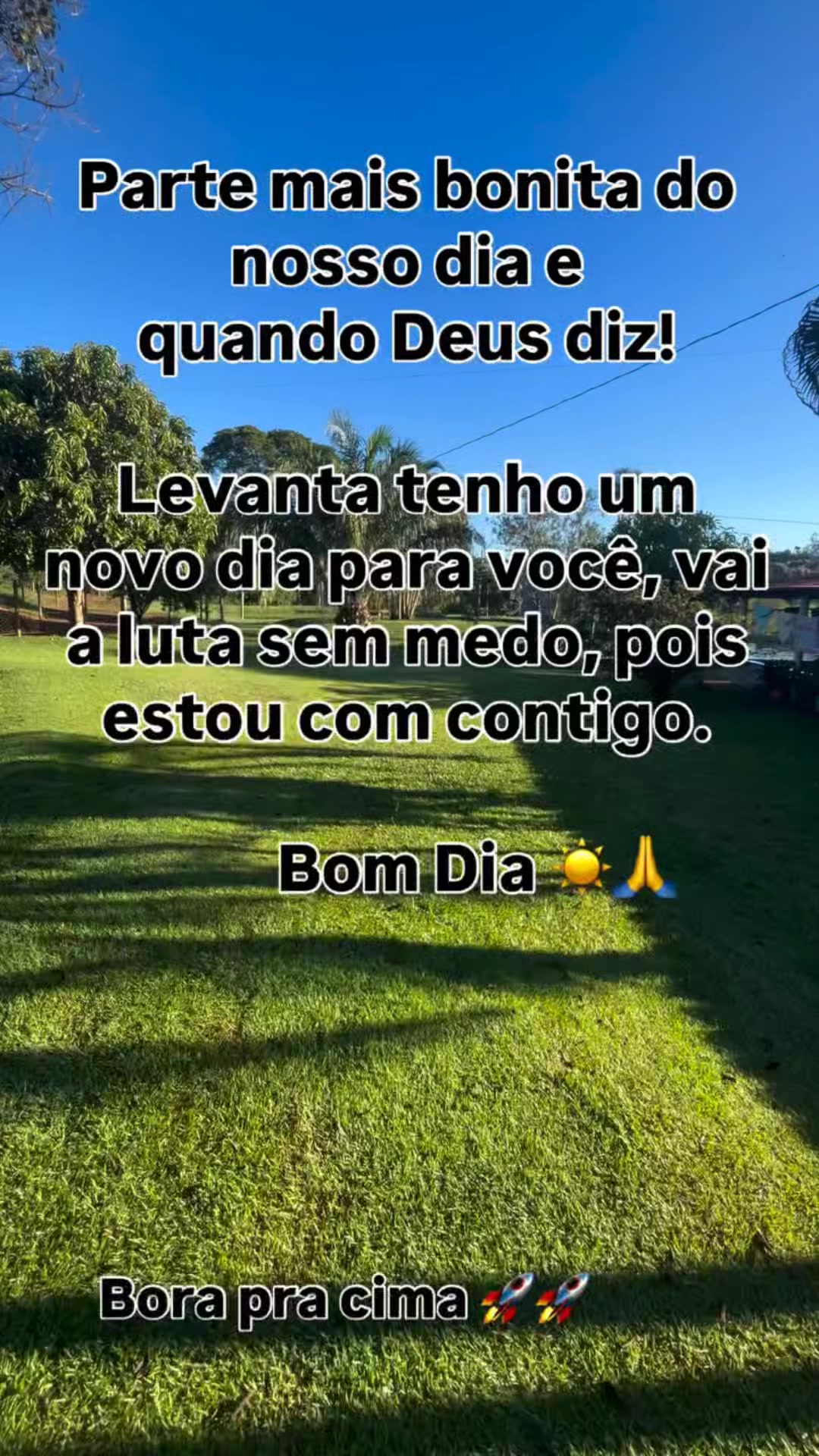 @nelsinha_