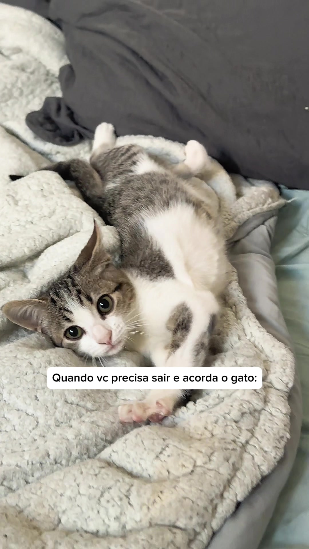 @Rodrigo filho