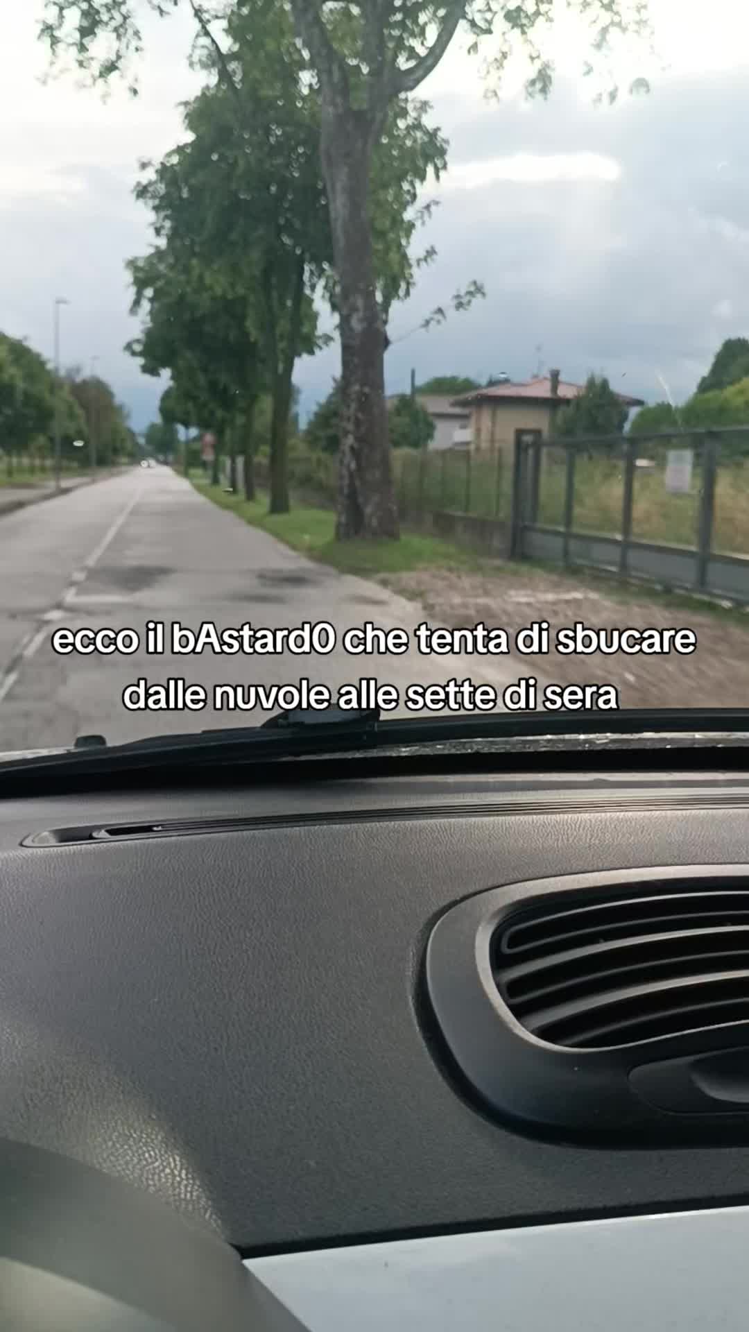 @Norma Canevese551