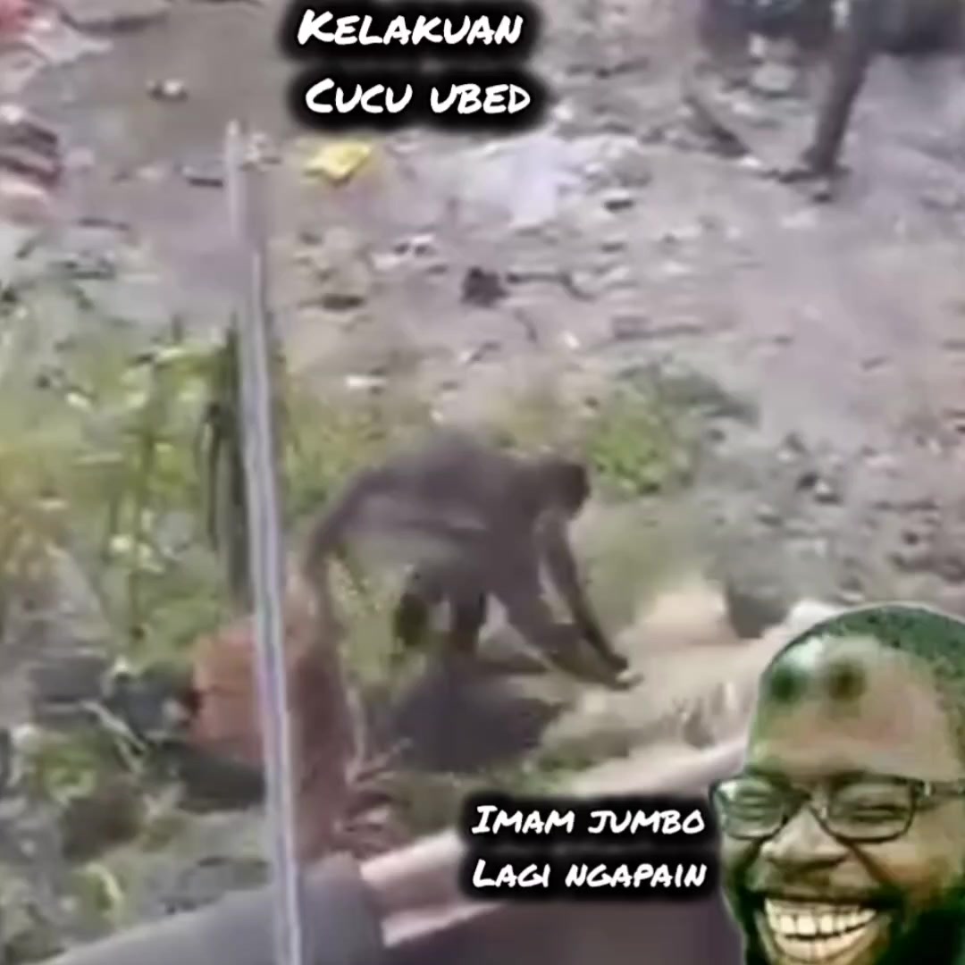 @pawang kadal. com