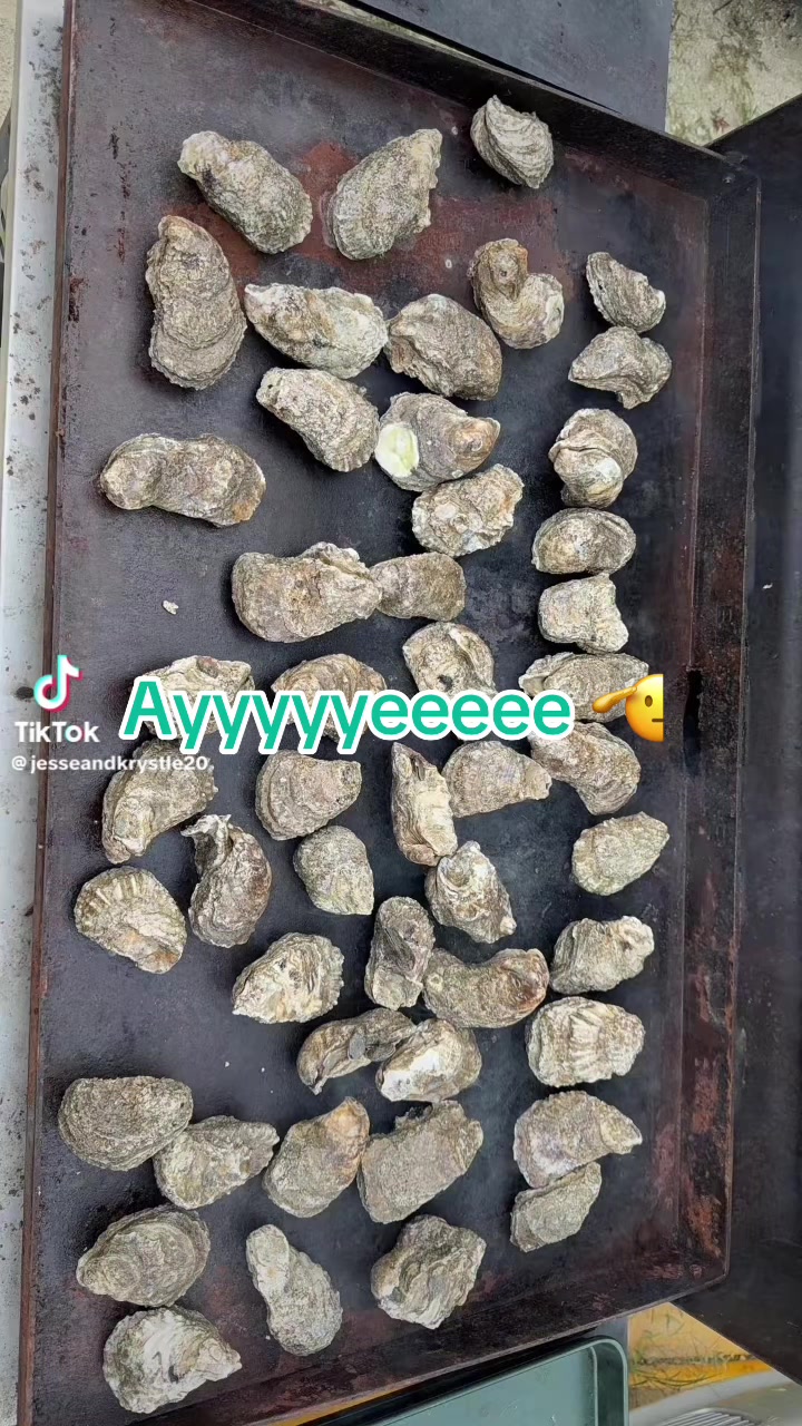 @Mud Monkey LLC