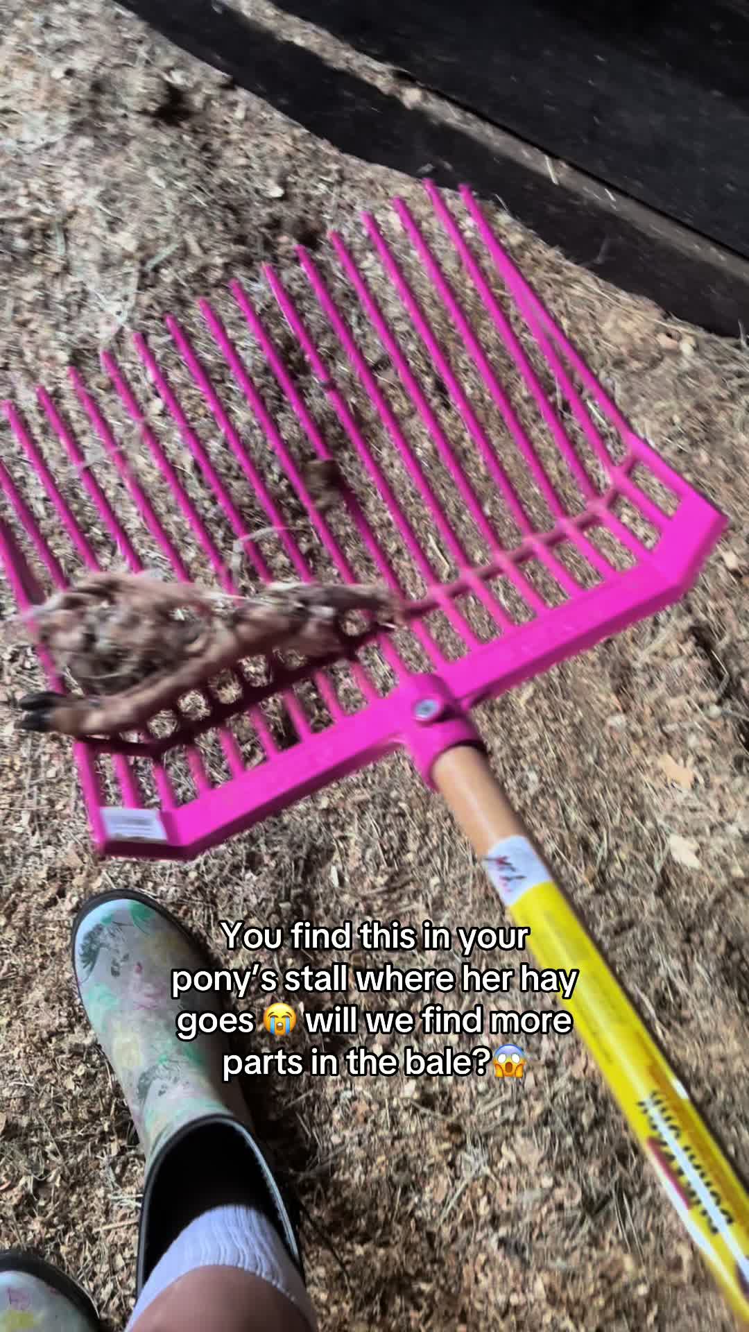 @itiswellstables