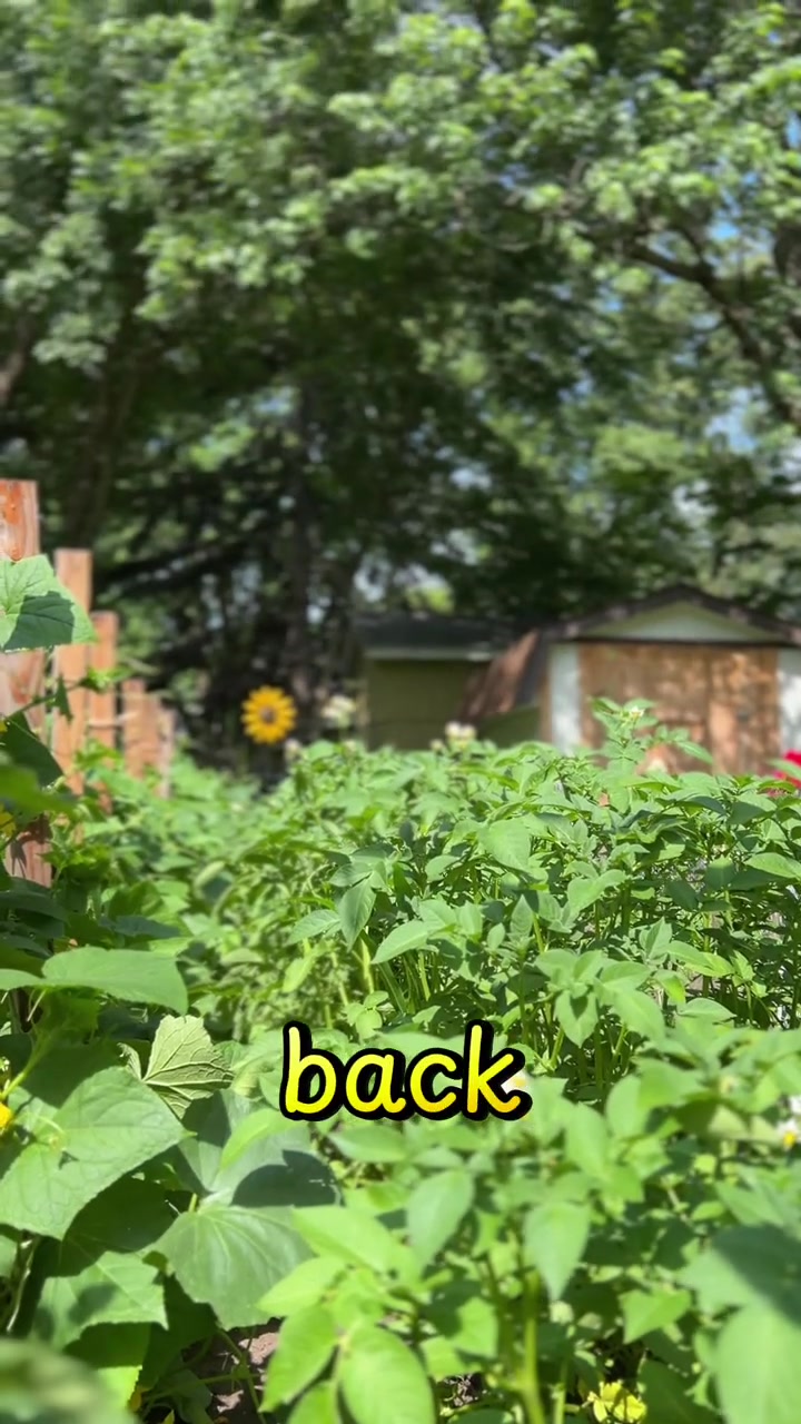 @Thepoorhipspanic25