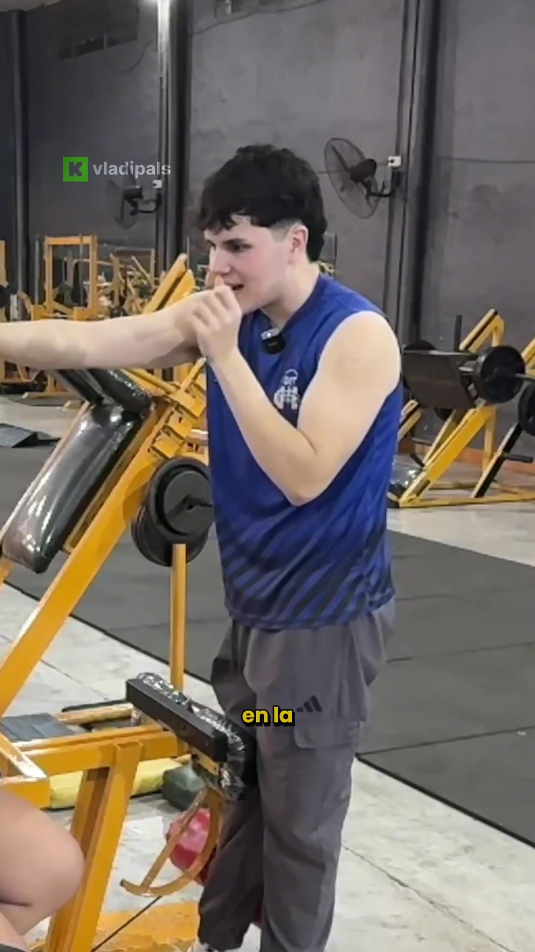 @Vladi