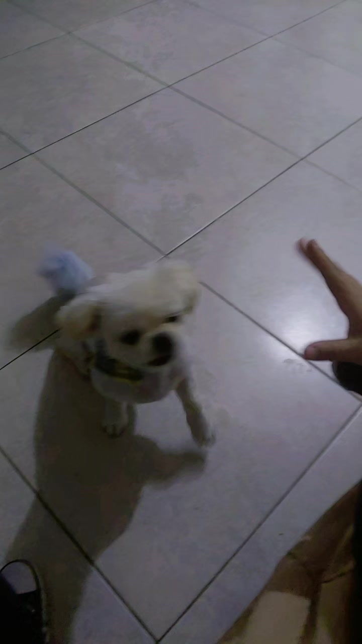 @MaFer Curay