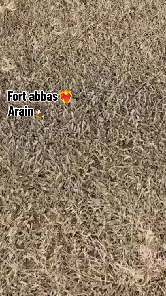 @&hearts;️꧁༺مقدّس༻꧂ &hearts;️