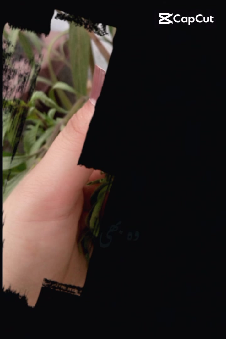 @🩵ѕαяαн 𝑅︎𝑎︎𝑛︎𝑖︎𝑖︎🩵