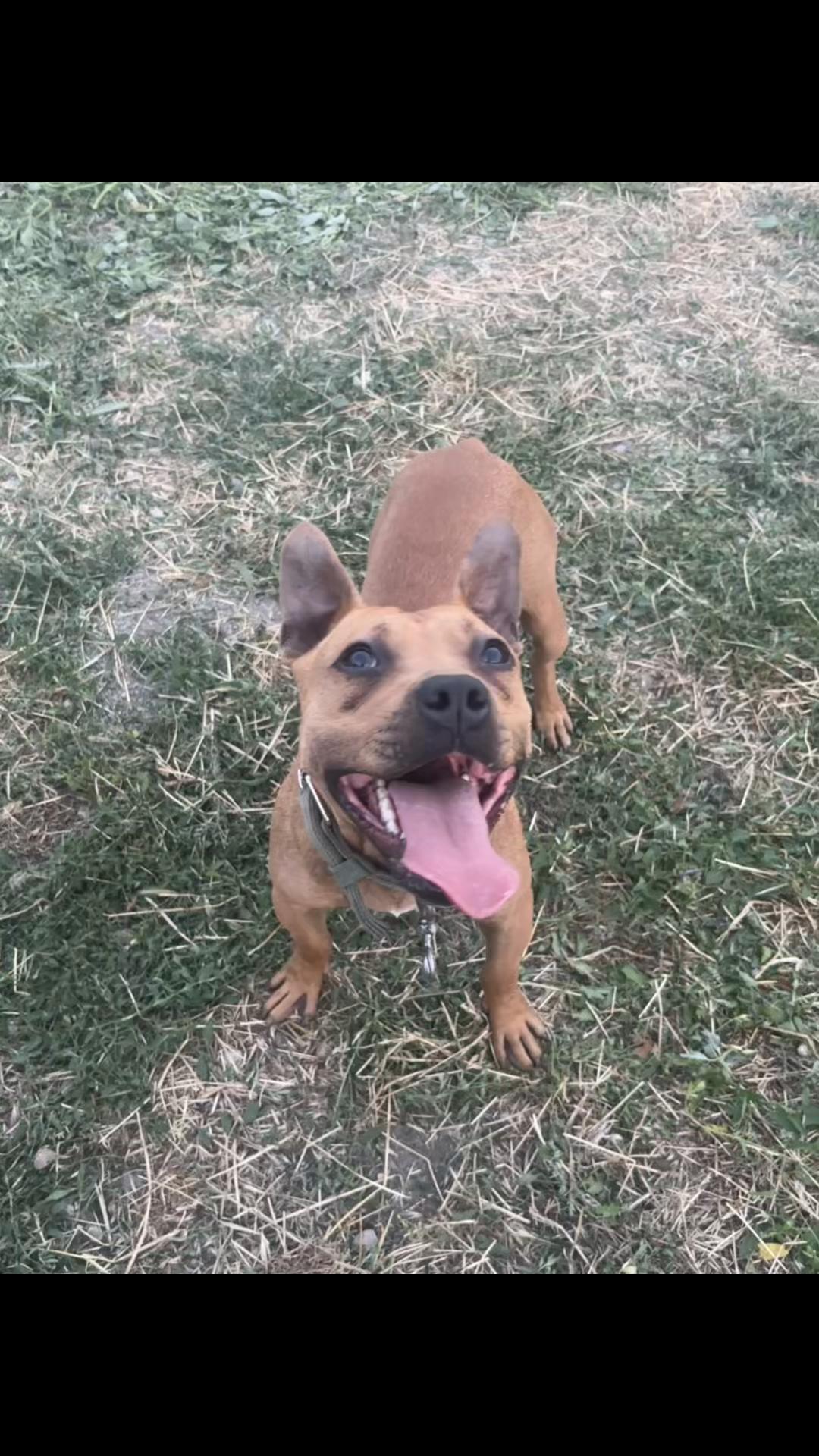 @Joker_pit8