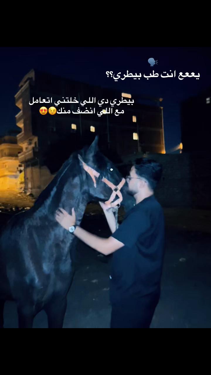 @ۛ ּد. ̨؏ــمۭــڕۏۥ