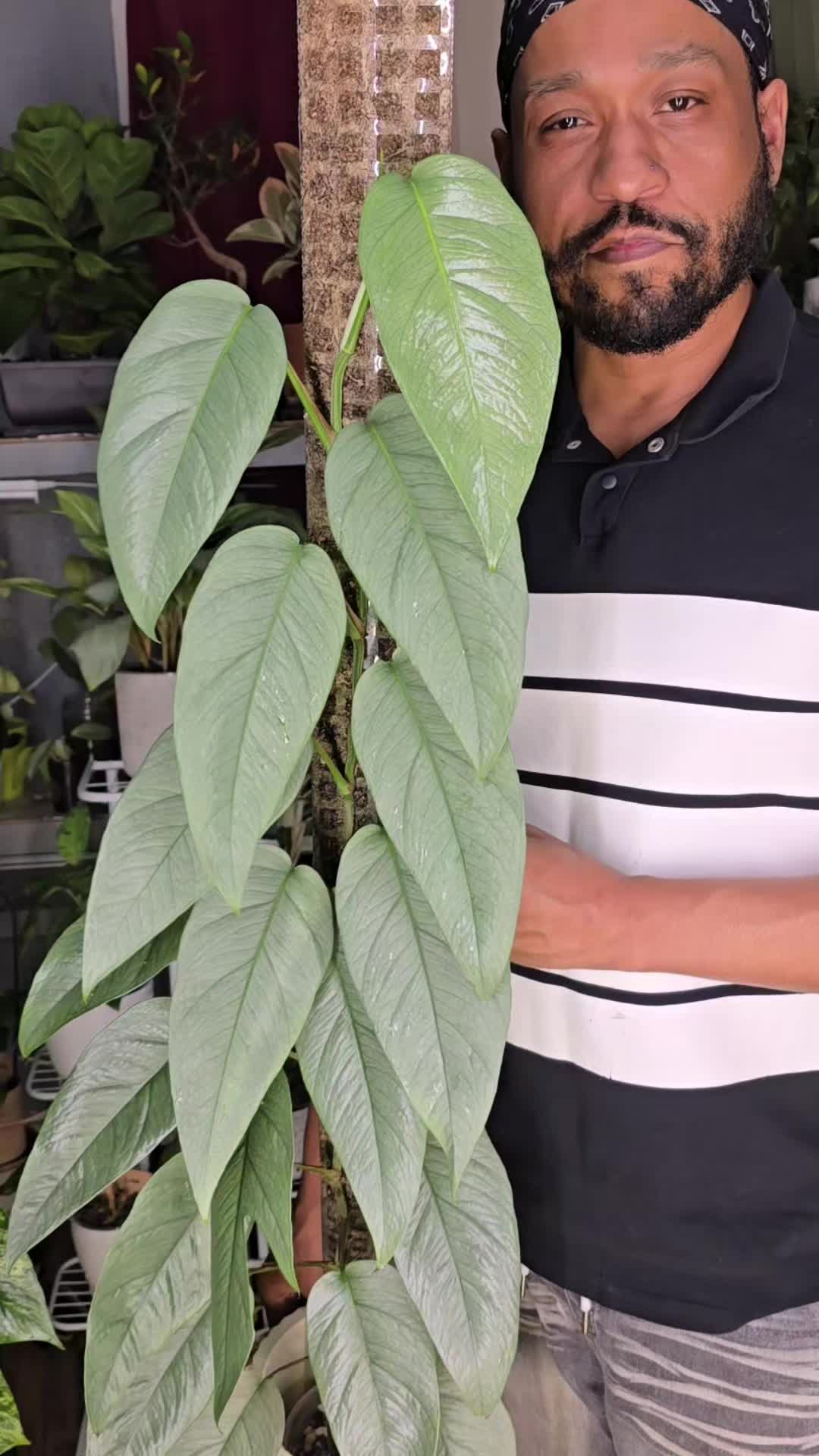 @JT - BigEGOPlants