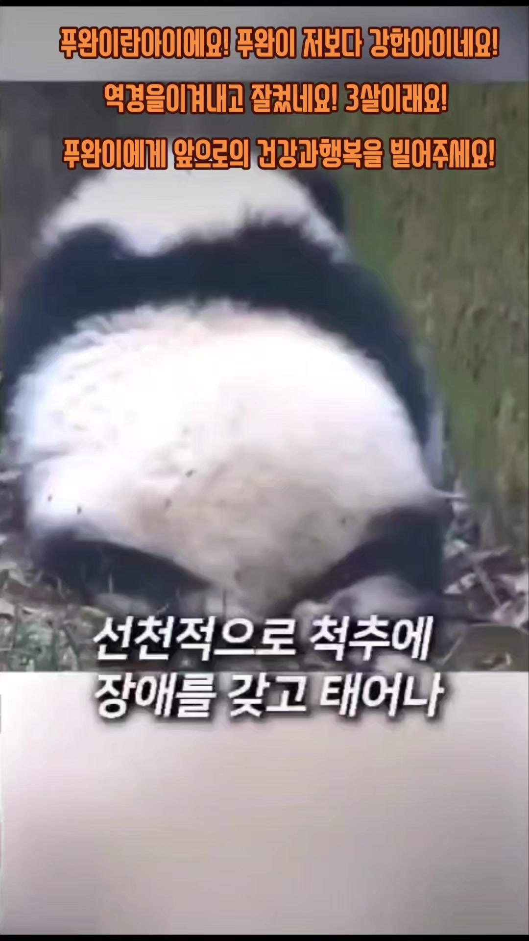 @반짝이는비니♡